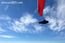 Gin Gliders Avid XXS