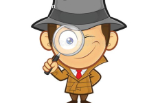 Suche // Ozone Swift 6 ML